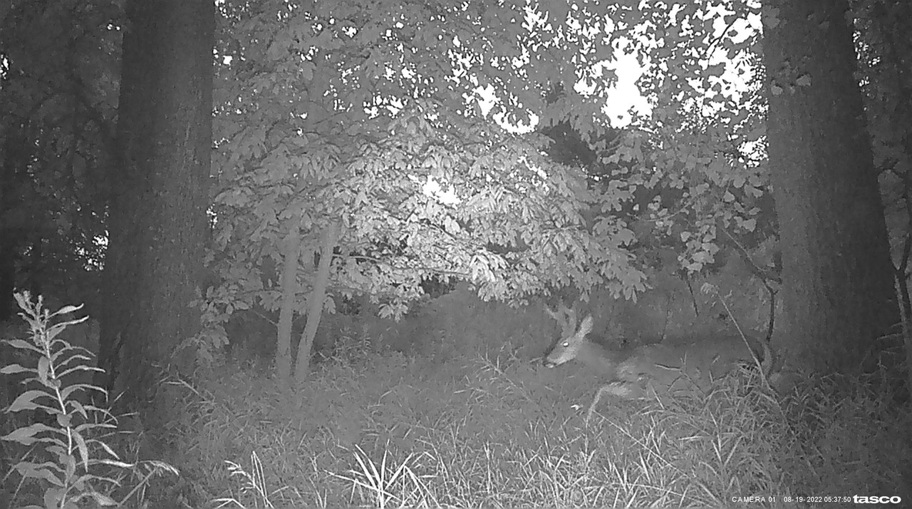 0B291FD6-7F02-4B9B-A2D4-CB5C981F46A1