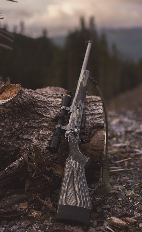 DDEF2949-2C47-4443-8FEB-1BA748592264