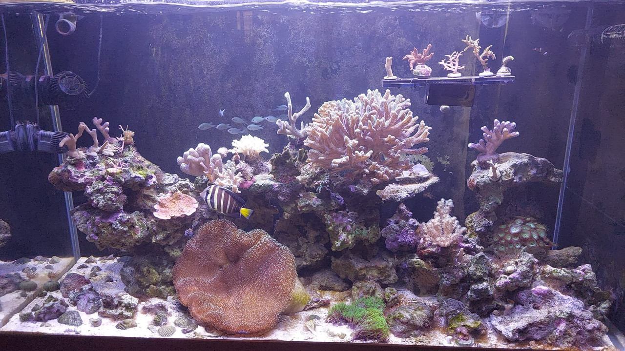 650837609 1242987254690496 4948482634813118189 n