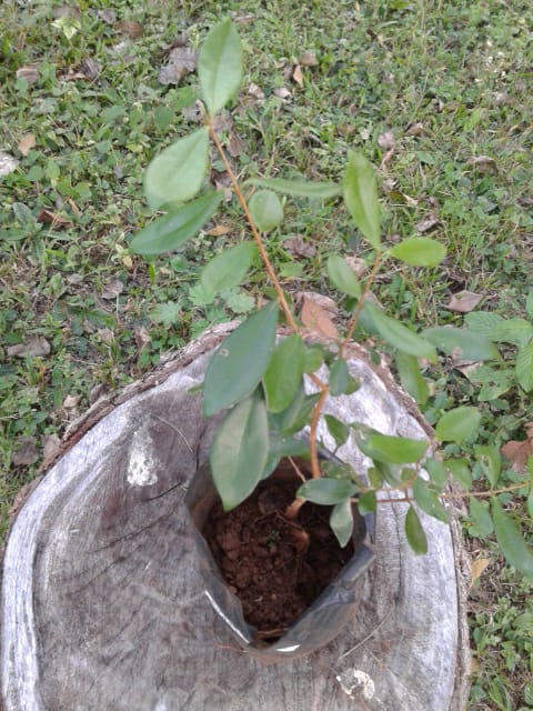 0e67f742-5989-4309-9fd5-1c6b1f1fdeaa