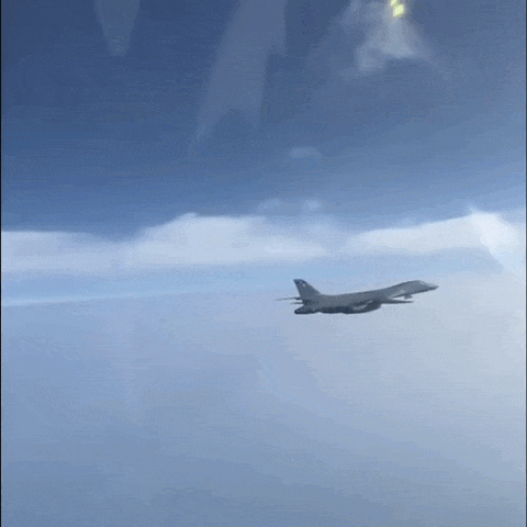 https://i.postimg.cc/qvpq8mW8/video-2026-06-17-04-04-21-(1).gif