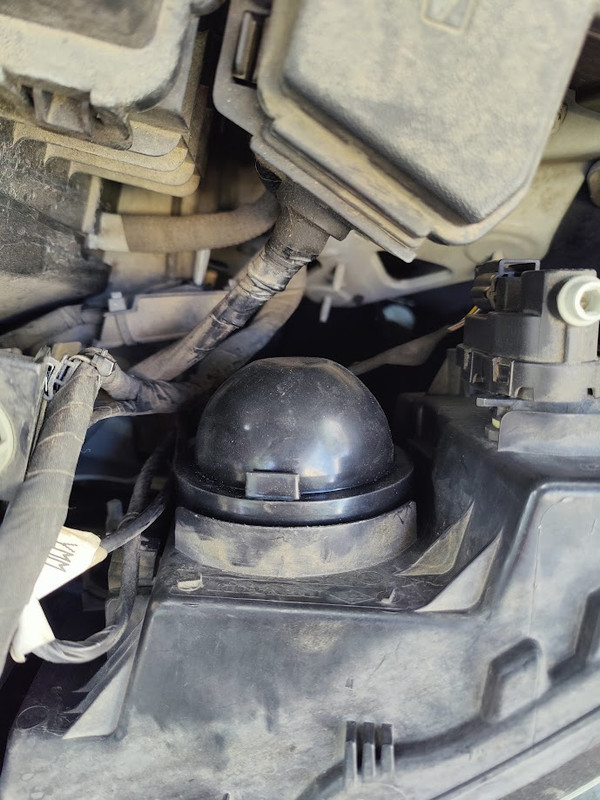 Tapa_IMG20241130104856