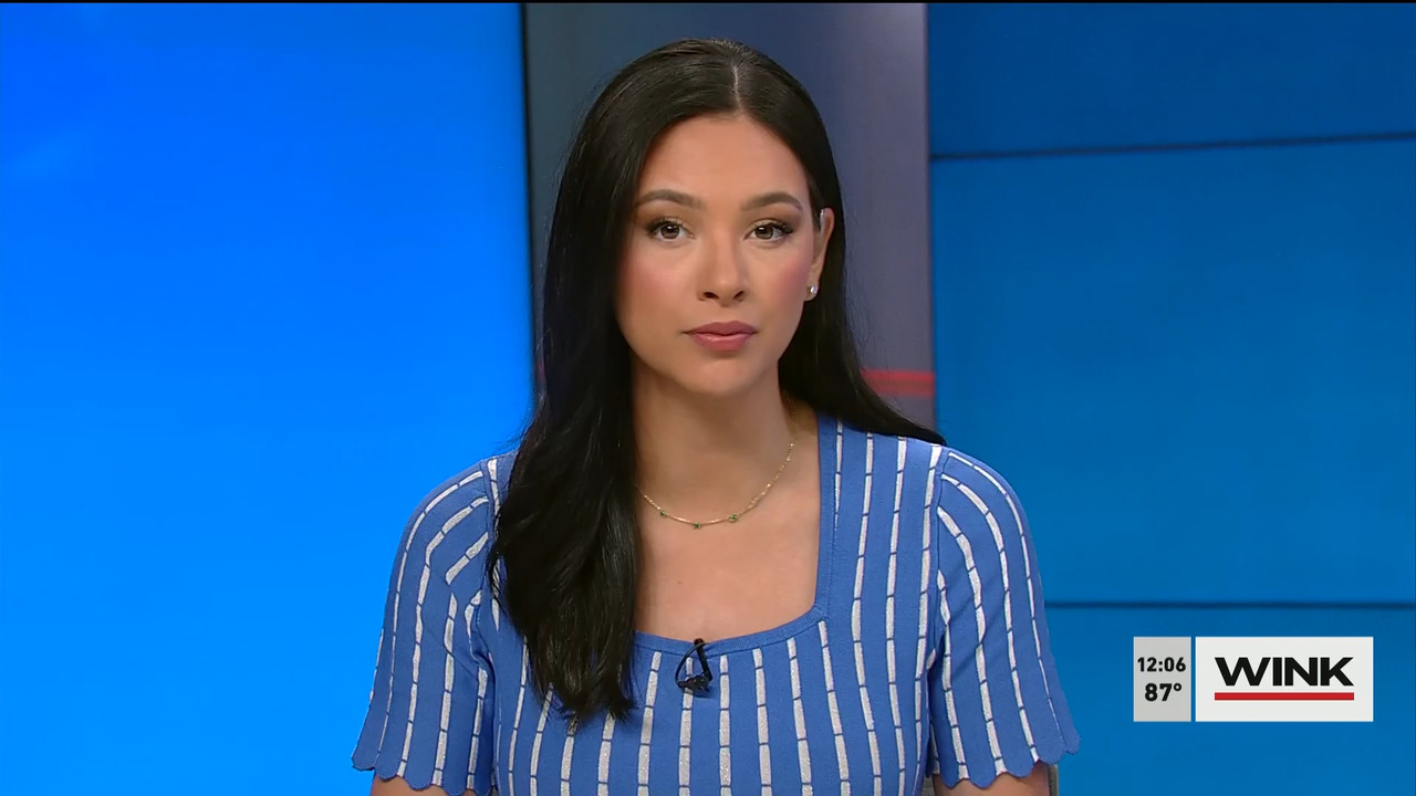 04.27 - 17.00.00 - The WINK Noon News  ᴺᵉʷ. Midday news update..ts_snapshot_12.36.279