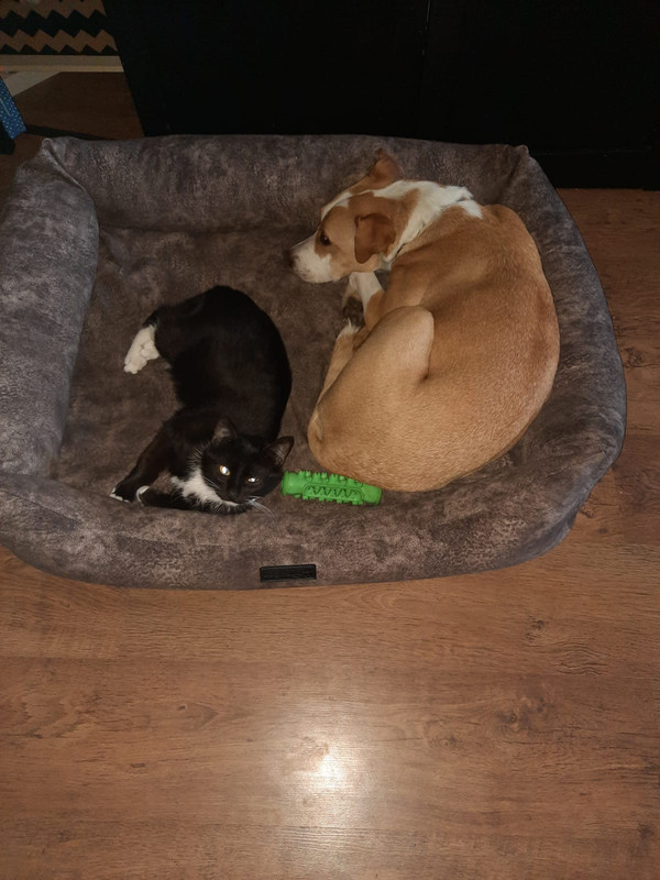 7A7F6EB9-55BB-44CE-AA2B-EC15B0C56B60