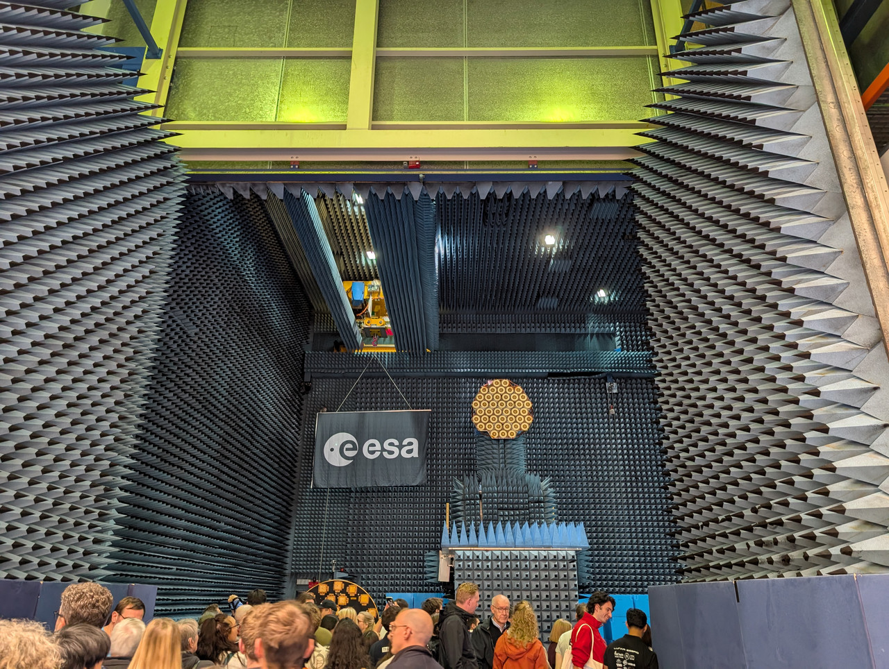 Трое в Амстердаме, не считая собаки. Переезд в Нидерланды.