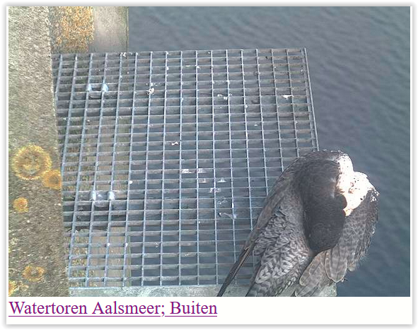 Screen Shot 02-28-25 at 08.23 AM 003