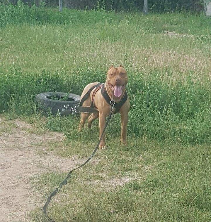 IMG_20180430_153026_444