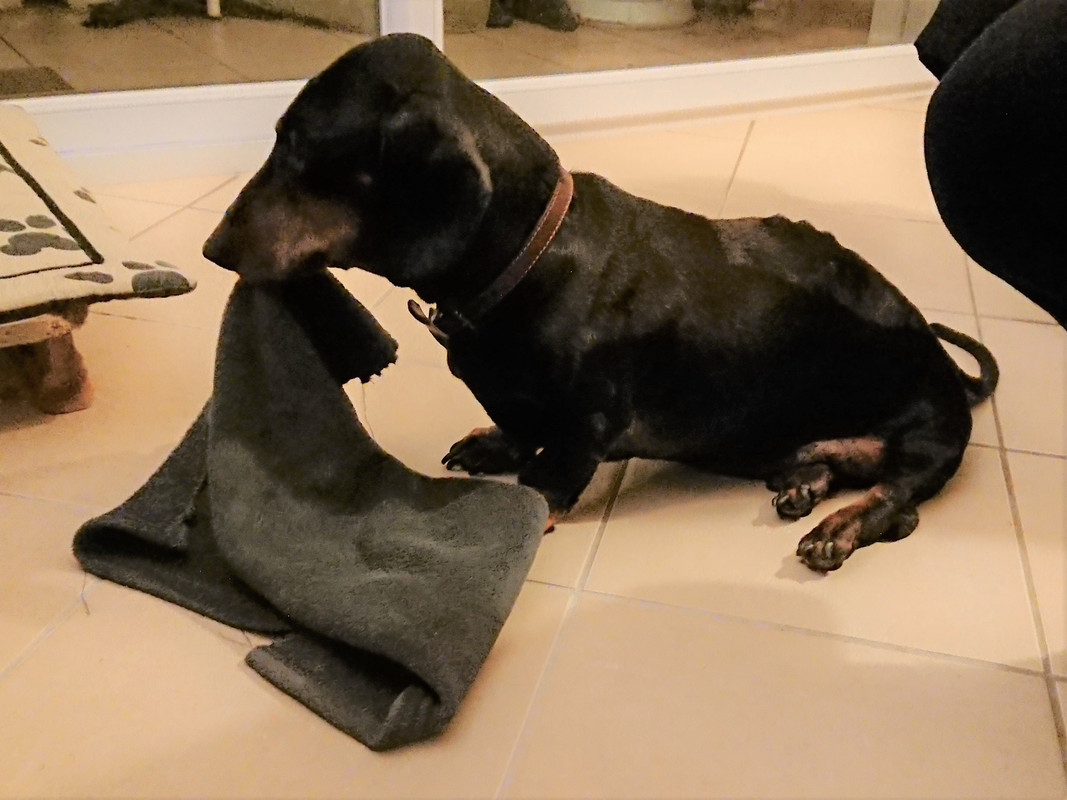 [Image: DSC-2023-01-14.jpg]