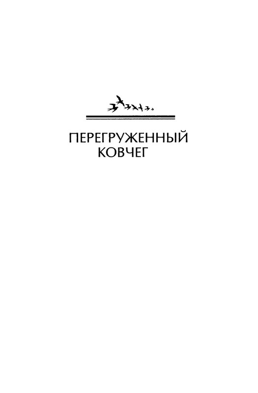 p0006