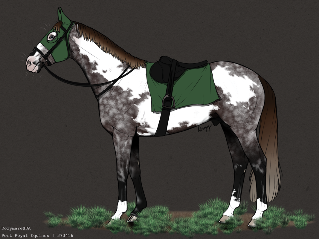 ftu-thoroughbred-horse-base-by-dozymare-20241023223930.png