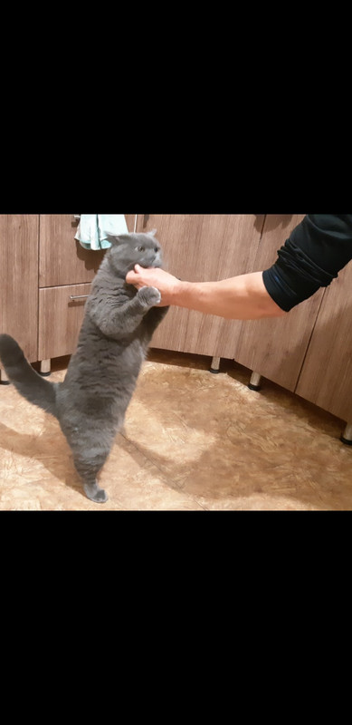 Screenshot_20221130-202632_Gallery