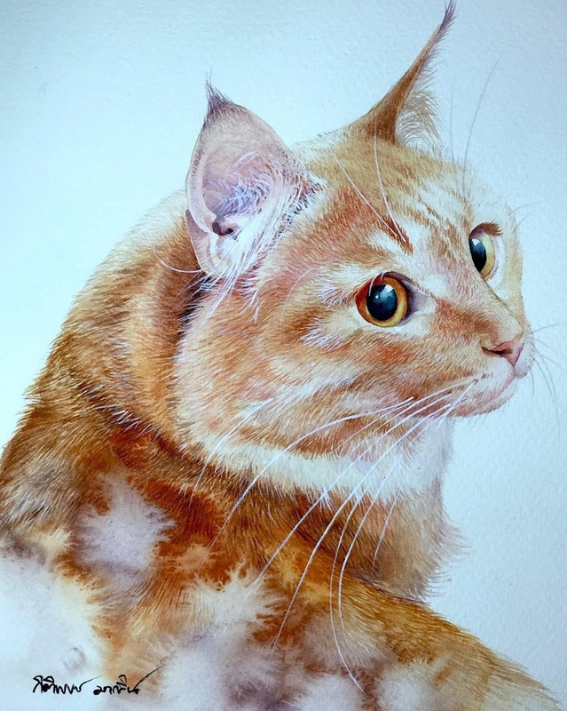 09
