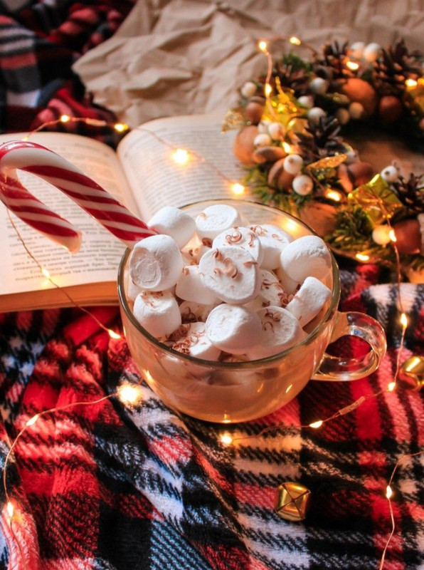 Screenshot_20231204_212913_Pinterest