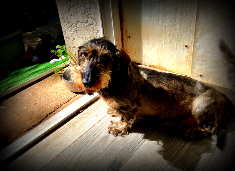 [Image: IMG-1477.jpg]