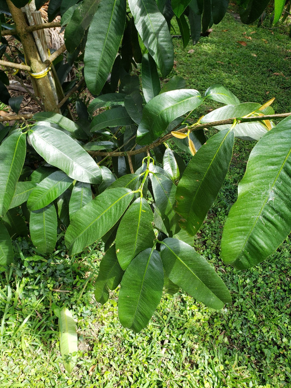 Lucs-20210401_144806