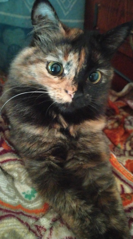 IMG_20211010_110153_2