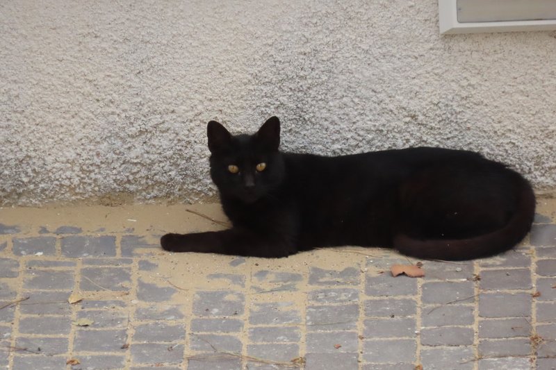 WhatsApp Image 2025-09-29 at 06.26.33_1cb7f2f6