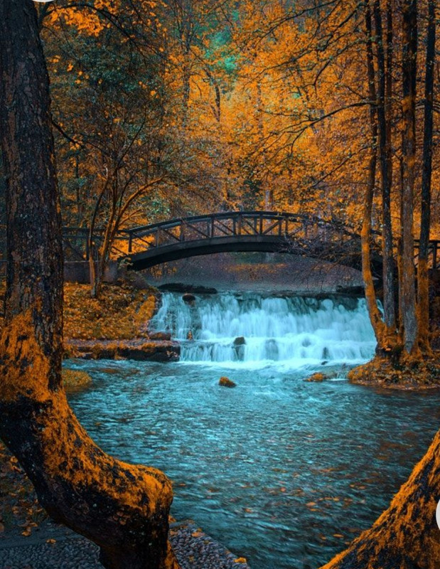 Screenshot_20230129_010838_Chrome