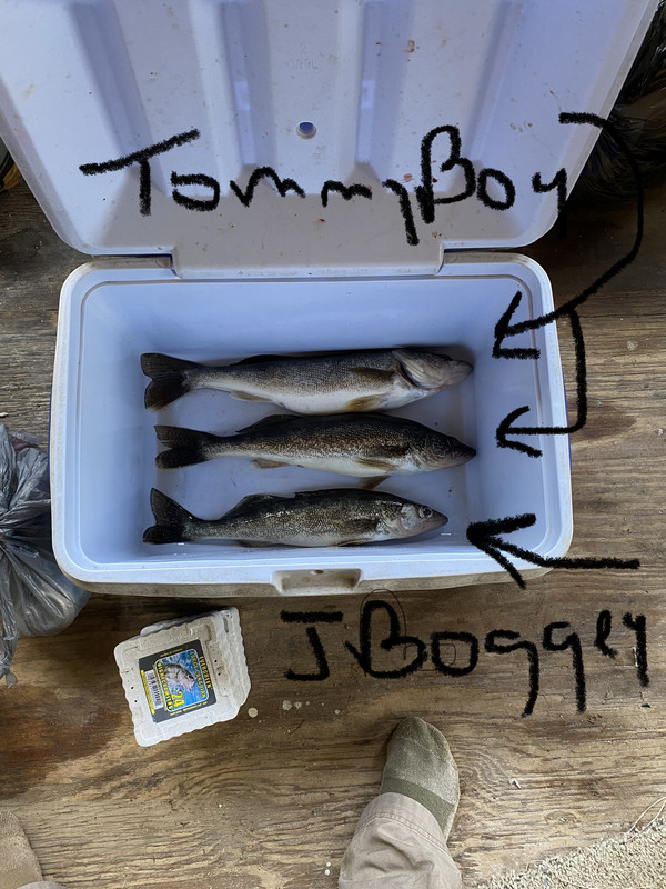 8AE1B4CA-3DDE-4010-BAA5-079B0D8BA92C