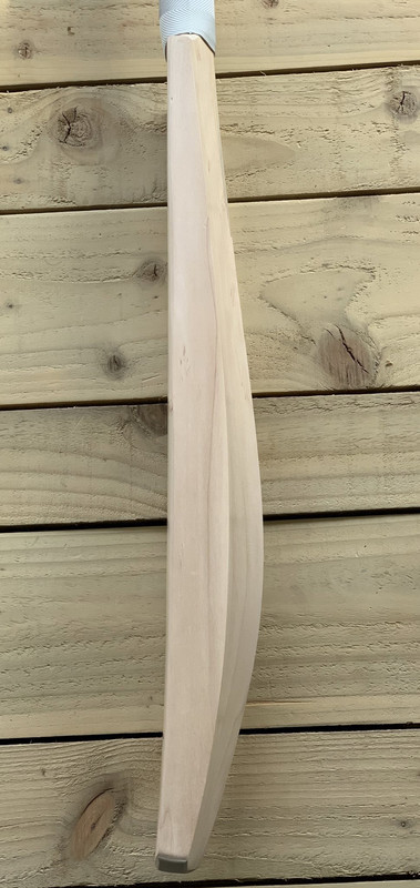 73454A91-B3C4-4DFE-A4FC-C6770C8B3097