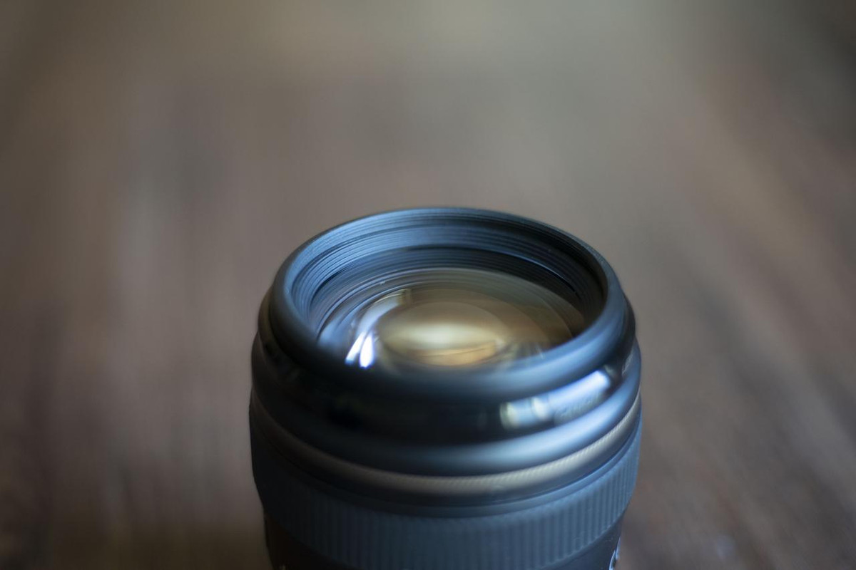 IMAGE: https://i.postimg.cc/qvtJY1dG/DSC01106.jpg