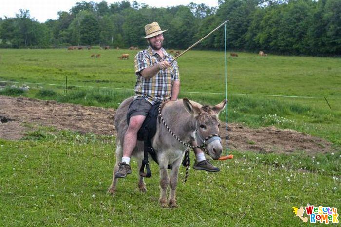 ���� ���� ������ �� ���� ������