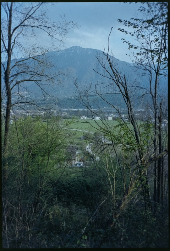 Leica Mini III_26apr2021_26 (693x1024)