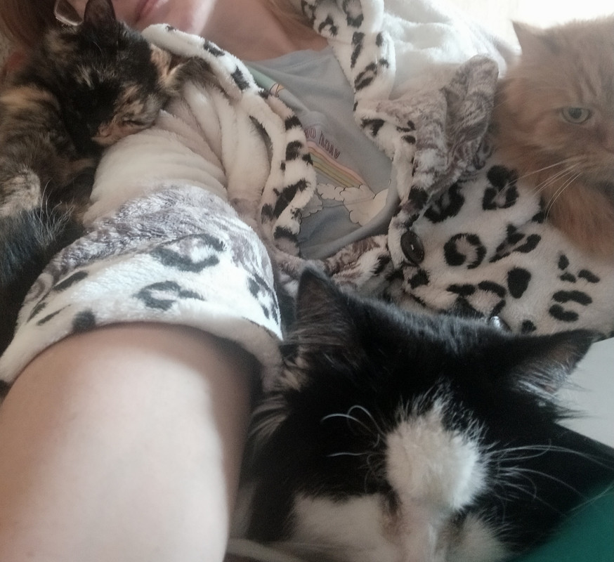 IMG_20211010_145126_2