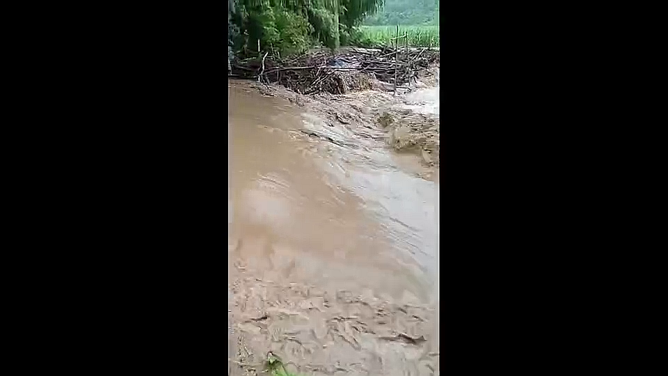 vlcsnap-2025-09-01-12h36m43s545