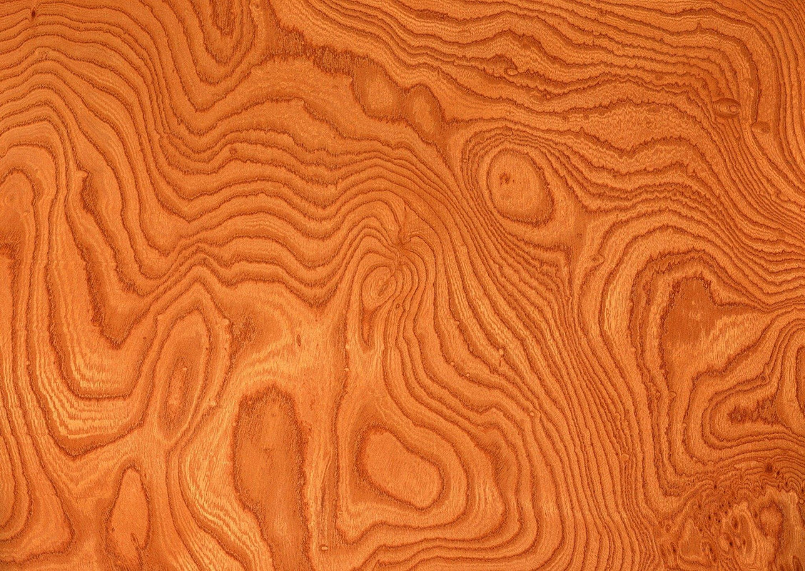 wood-texture-3dsmax (453)