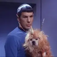 trek-dog.webp