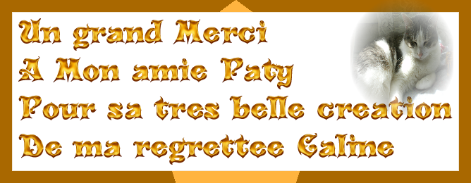 Cool-Text-Un-grand-Merci-A-Mon-amie-Paty-Pour-sa-tres-belle-creation-De-ma-re-393975471126530