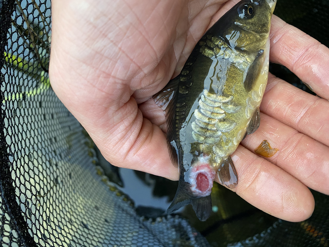 FE7509E0-532A-47FE-974A-EAF7A4D8B319