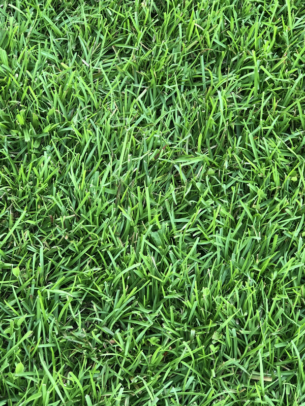 9E27C101-1D97-48D2-8446-815555EDD025