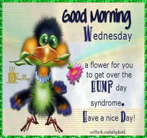 Wennesday-Hump-day