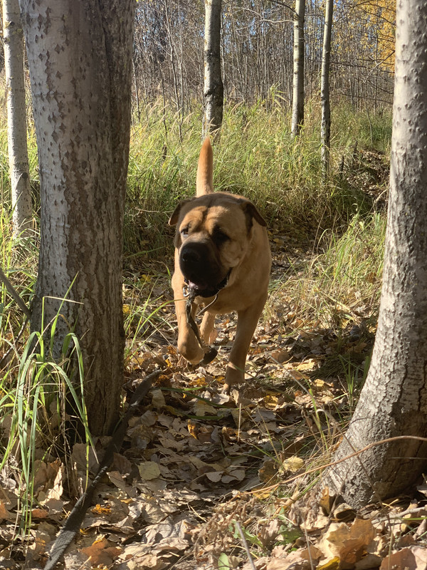 2233A2D3-9682-4B1A-86B6-EC2A3A2B9D35