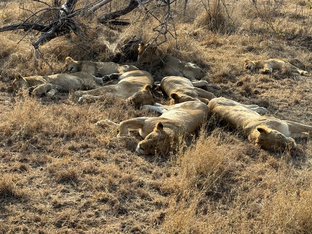 [Linked Image from i.postimg.cc]