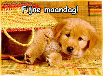 animaatjes-maandag-11645.jpg