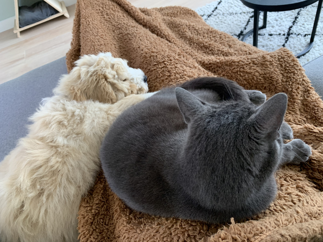 6407EA59-73CE-4DAF-8911-5E5D59E98848