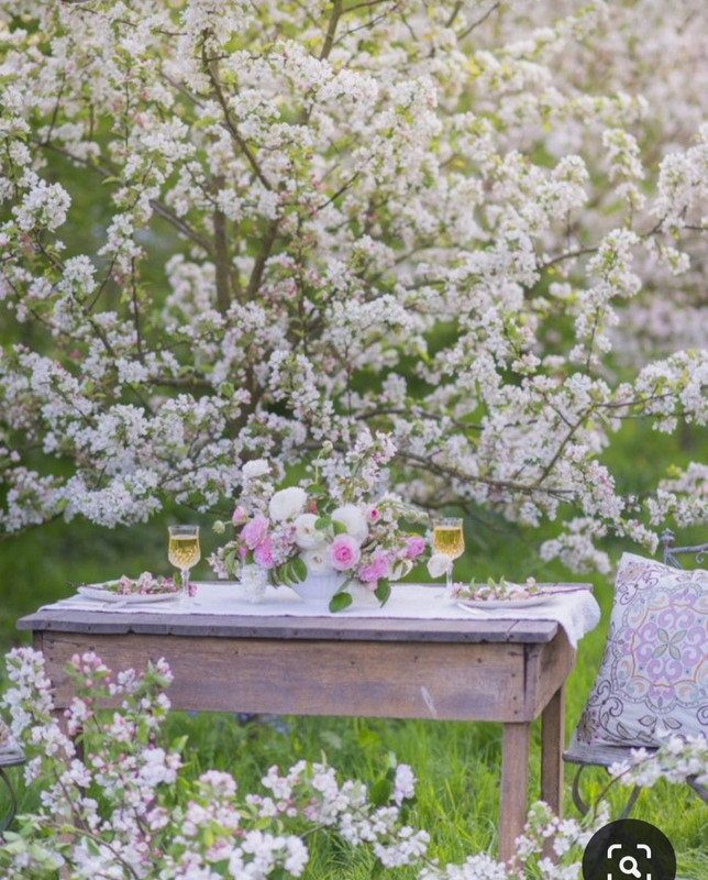 Screenshot_20230702_223756_Pinterest