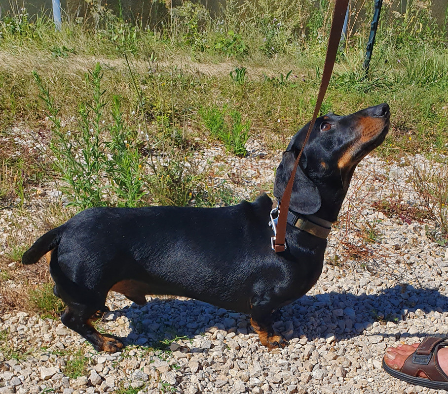 [Image: 20220816-115728.jpg]