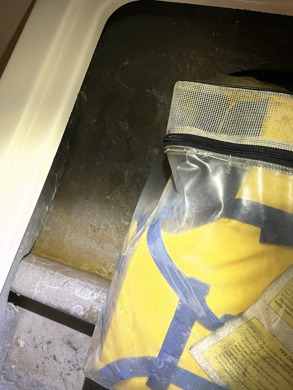 7D8C838B-D813-48E6-BDD4-C20874B0940F