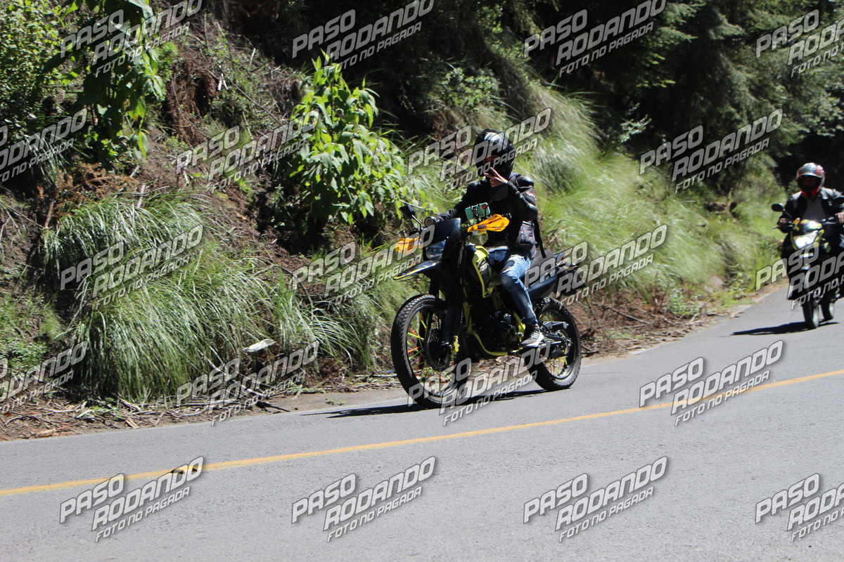 IMG 3622 wm 43922 200000000186 watermarked — Postimages