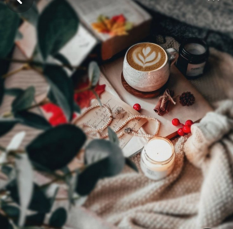 Screenshot_20231110_230825_Pinterest