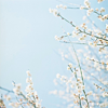 Stock-Icons-New-113