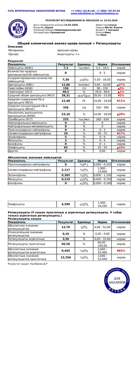 Общий клинический анализ крови полный Ретикулоциты (Диагностическое исследование 000162292 от 14 03