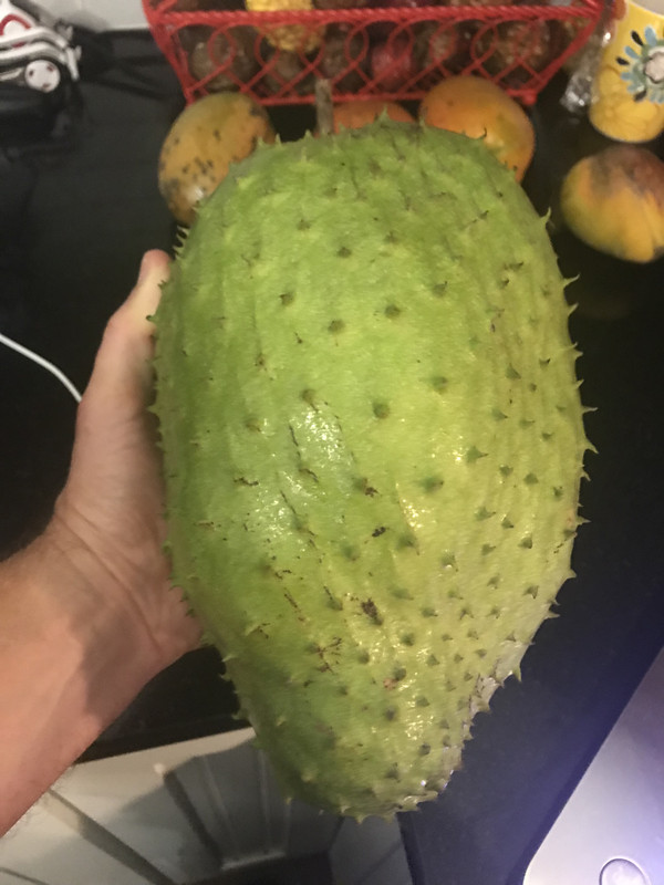 Guanabana62019