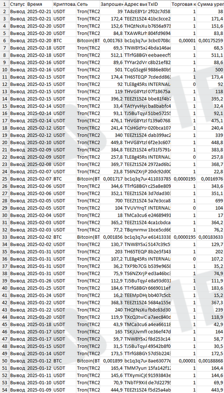 изображение_2025-02-23_022736526