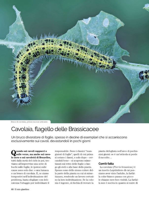 Il Mio Giar Set-Ott 2021 (5)