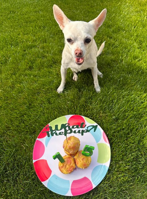 pixie-15th-birthday-today.jpg